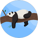 Jenny Hootman profile picture